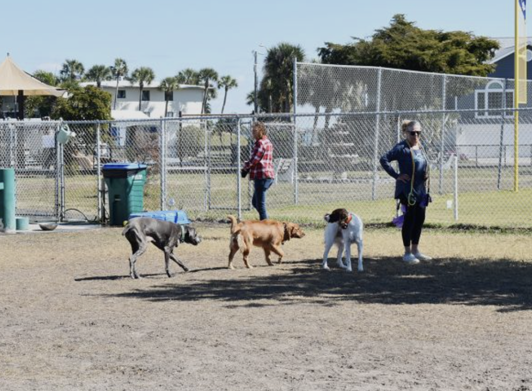 Dog-friendly park nearby